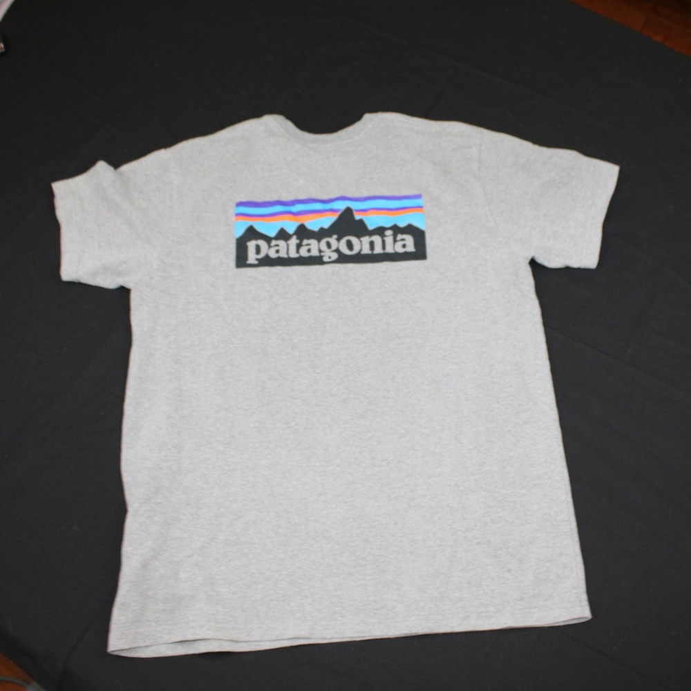 Patagonia Tshirt